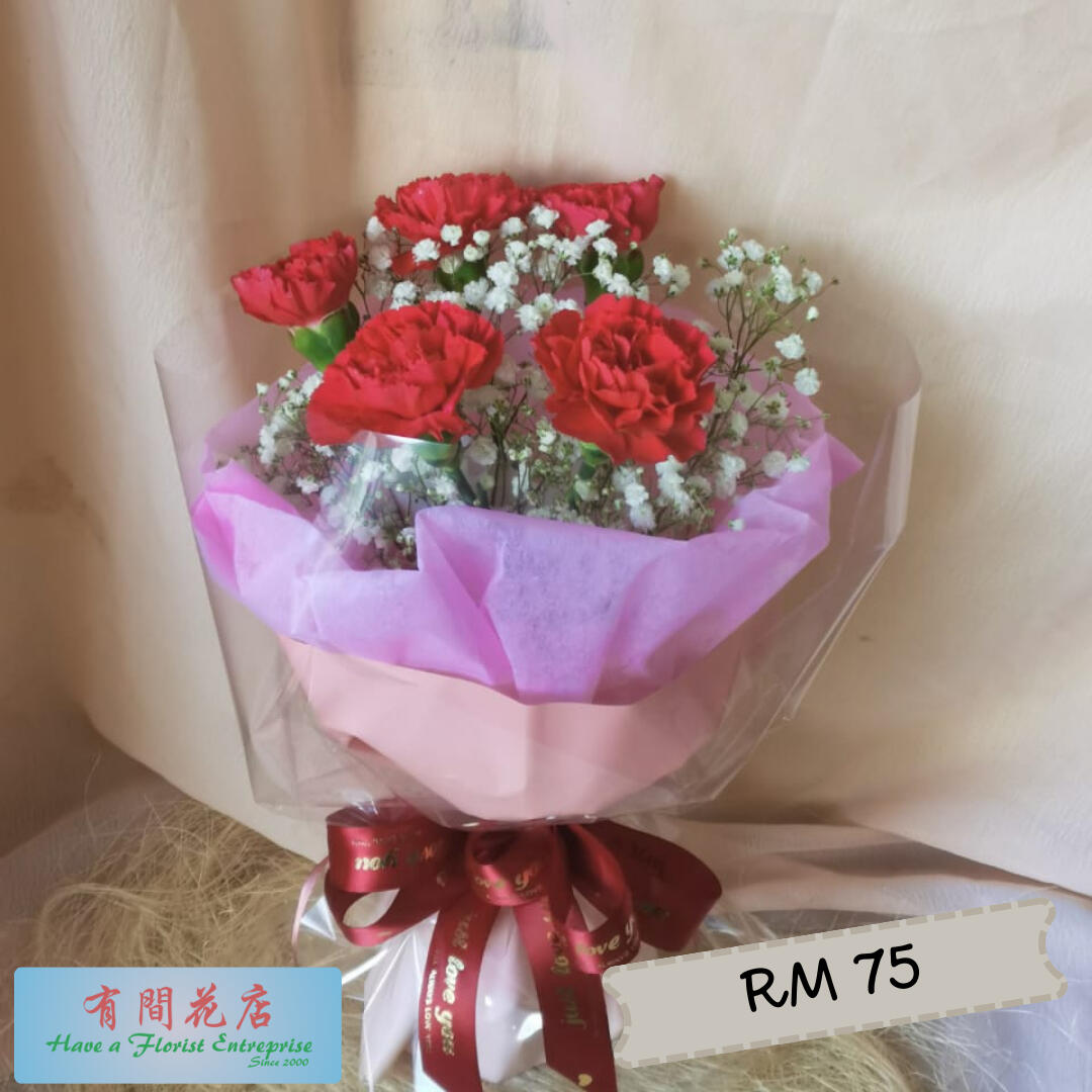 Bouquet of Carnation